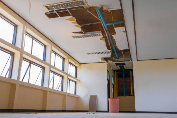 Best Ceiling water damage repair  in Byng, OK