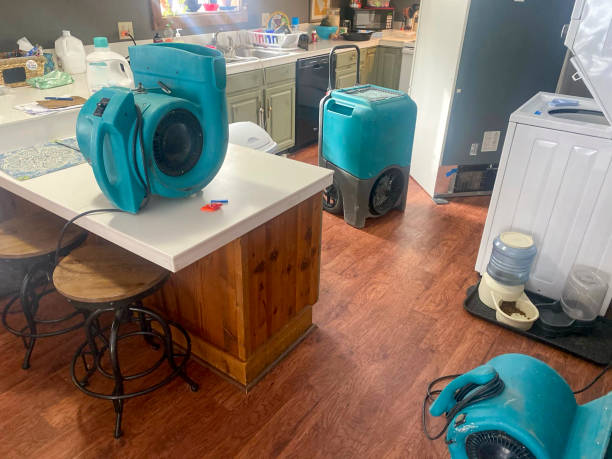 Best Commercial water damage restoration  in Byng, OK