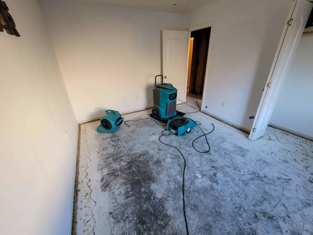 Best Carpet water damage restoration  in Byng, OK