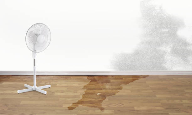 Best Sewage cleanup and water damage restoration  in Byng, OK