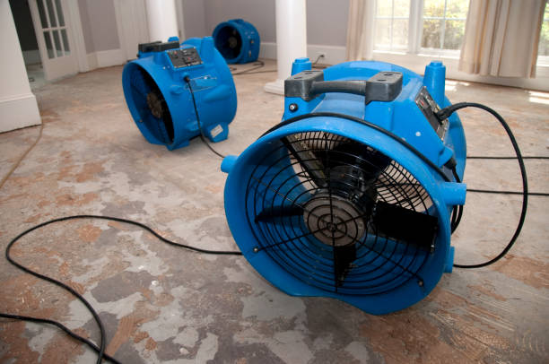 Best Water damage restoration services  in Byng, OK