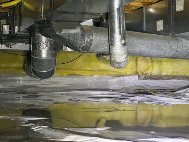 Best Water damage cleanup near me  in Byng, OK