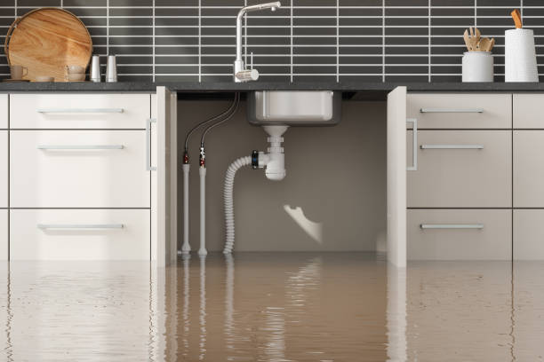 Best Water damage restoration experts  in Byng, OK