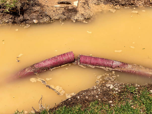 Best Water damage cleanup near me  in Byng, OK