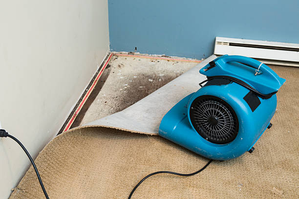 Best 24/7 water damage repair  in Byng, OK